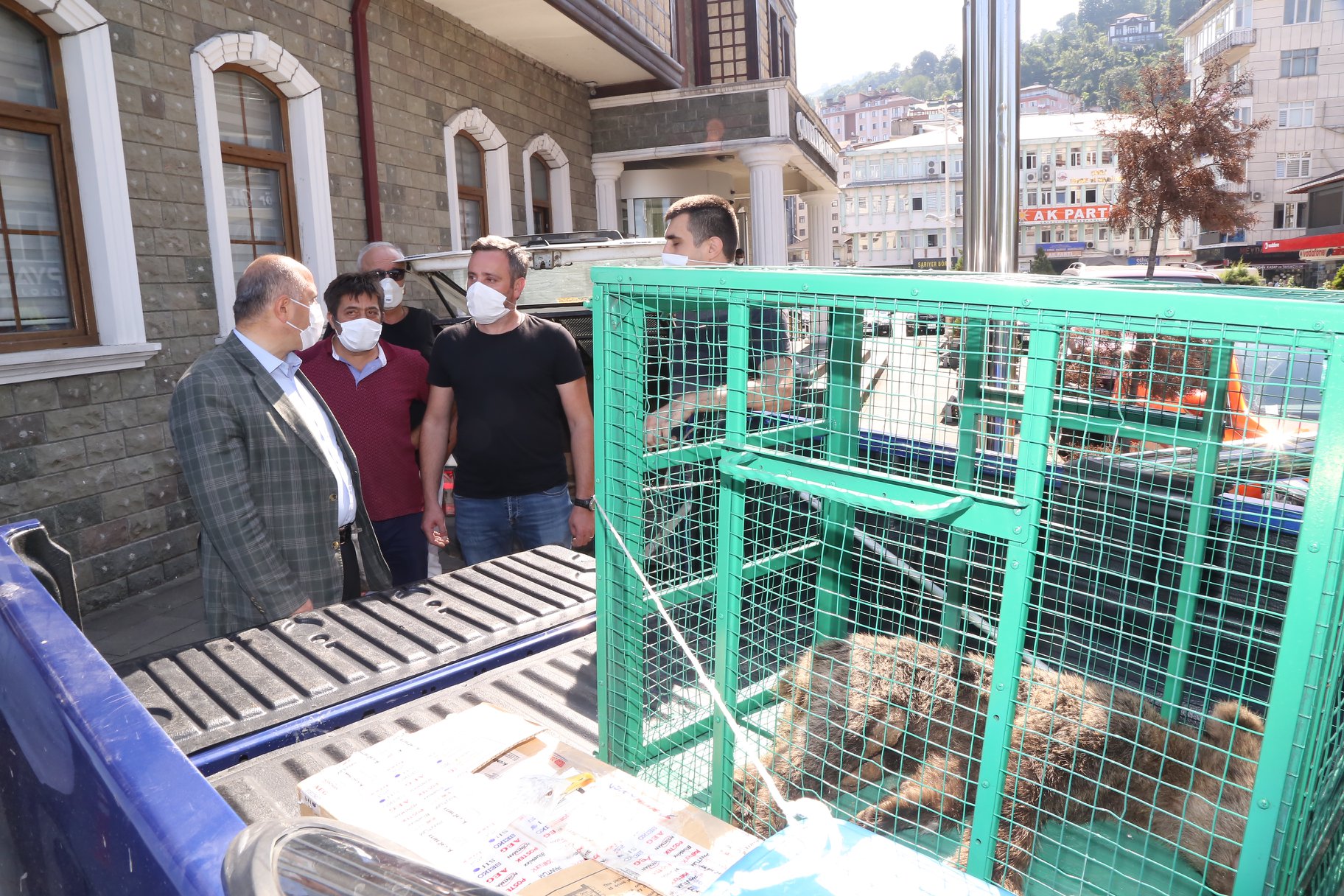 YAVRU BOZ AYIYI SAĞLIĞINA KAVUŞTURDUK