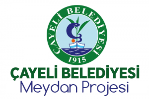 Meydan Projesi