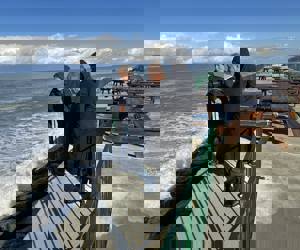 filler image