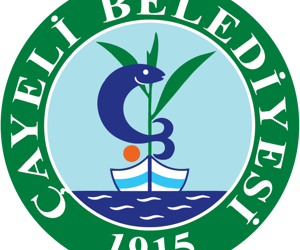 filler image