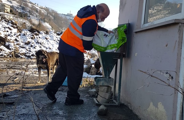 SOKAKTAKİ DOSTLARIMIZI UNUTMADIK 